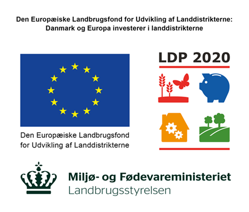 EU LDP 2020
